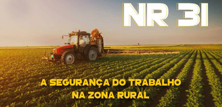 NR31